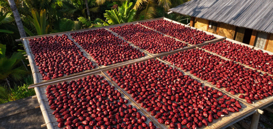 Kebun rempah
